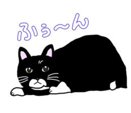 Full of cats every day. sticker #10951987