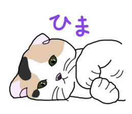 Full of cats every day. sticker #10951989