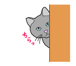 Full of cats every day. sticker #10951991