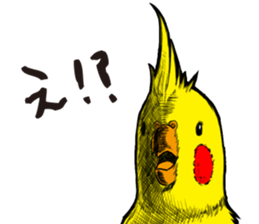 Daily Cockatiel by BB sticker #10952950