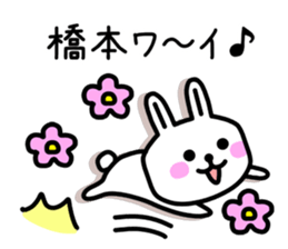 The sticker of Hashimoto dedicated sticker #10953200