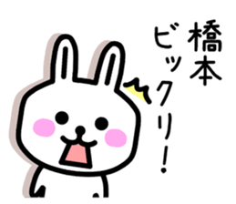 The sticker of Hashimoto dedicated sticker #10953206