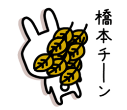 The sticker of Hashimoto dedicated sticker #10953217