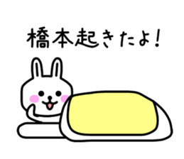 The sticker of Hashimoto dedicated sticker #10953228