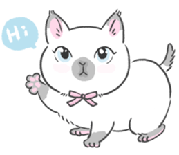 Munchkin cat RORO sticker #10955273