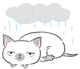 Munchkin cat RORO sticker #10955300