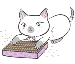 Munchkin cat RORO sticker #10955301