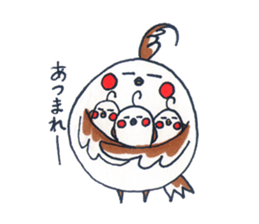 Daily Cockatiel 2 sticker #10955800