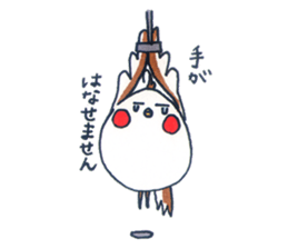 Daily Cockatiel 2 sticker #10955820