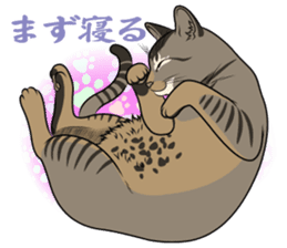 MOHIPEN Sticker(MOHIKUN Part1) sticker #10956633