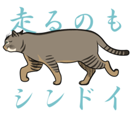 MOHIPEN Sticker(MOHIKUN Part1) sticker #10956645