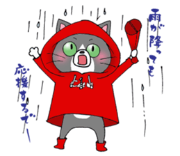 Hiroshima Cat 5 Summer sticker #10957914