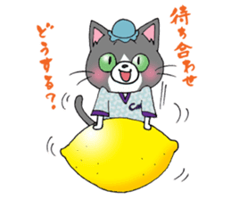 Hiroshima Cat 5 Summer sticker #10957921