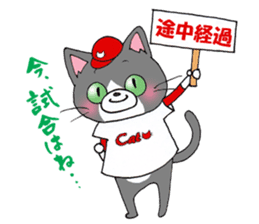 Hiroshima Cat 5 Summer sticker #10957936