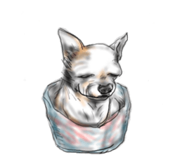 Mr.purin sticker #10959599