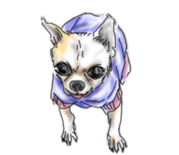 Mr.purin sticker #10959609