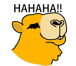 I love CAMEL. sticker #10959992