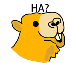 I love CAMEL. sticker #10959993