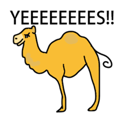 I love CAMEL. sticker #10959994