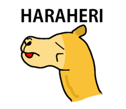 I love CAMEL. sticker #10960003