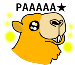 I love CAMEL. sticker #10960005