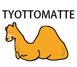 I love CAMEL. sticker #10960015