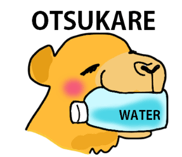 I love CAMEL. sticker #10960022