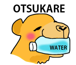 I love CAMEL. sticker #10960022