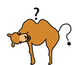 I love CAMEL. sticker #10960026