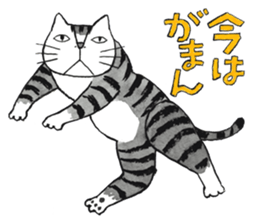 Cat character  Kabamaru sticker #10960050