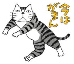 Cat character  Kabamaru sticker #10960050