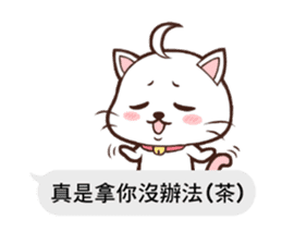 Daimao Cat's practical dialogue! sticker #10962729