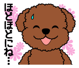Mogu and Marco of toy poodles 3 sticker #10963182