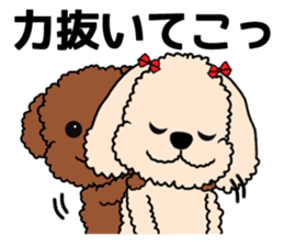 Mogu and Marco of toy poodles 3 sticker #10963183