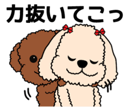 Mogu and Marco of toy poodles 3 sticker #10963183
