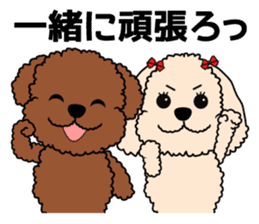 Mogu and Marco of toy poodles 3 sticker #10963186