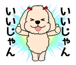 Mogu and Marco of toy poodles 3 sticker #10963189