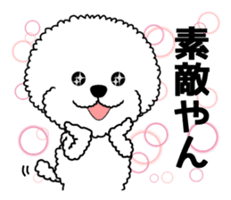 Mogu and Marco of toy poodles 3 sticker #10963193