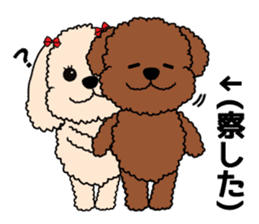 Mogu and Marco of toy poodles 3 sticker #10963197