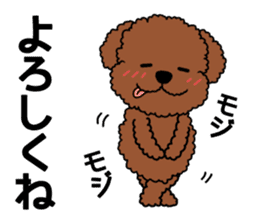 Mogu and Marco of toy poodles 3 sticker #10963203