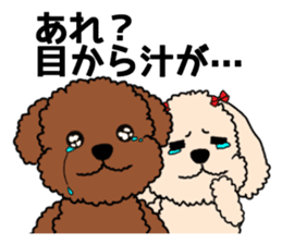 Mogu and Marco of toy poodles 3 sticker #10963207