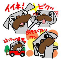 Pretty reaction Pug dog