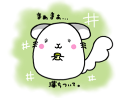 Chinchilla! He is Daifukumaru. sticker #10967857
