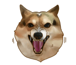Dangerous Corgi 2 sticker #10968283