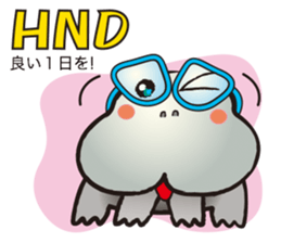 HIPPO-FROG Dx. sticker #10969766