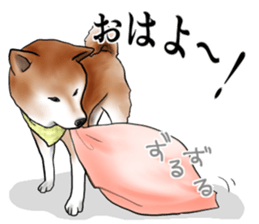 Japanese Shiba inu stickers!4 sticker #10970534