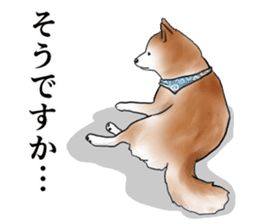 Japanese Shiba inu stickers!4 sticker #10970536