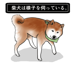 Japanese Shiba inu stickers!4 sticker #10970537