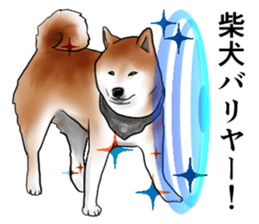 Japanese Shiba inu stickers!4 sticker #10970538