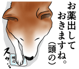 Japanese Shiba inu stickers!4 sticker #10970542